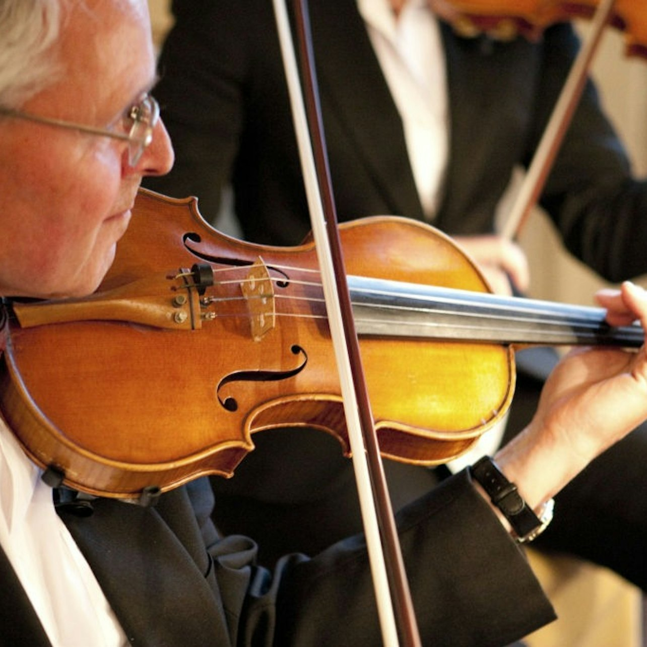 Lobkowicz Palace: Classical Music Concert - Photo 1 of 4